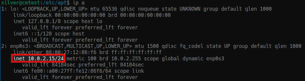 Getting an IP address in Ubuntu